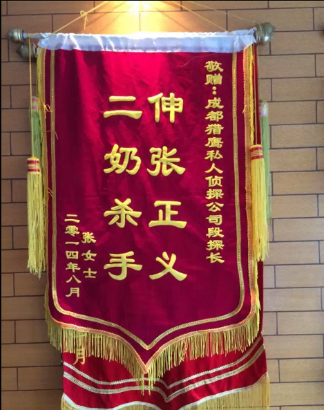 乐山纪律调查